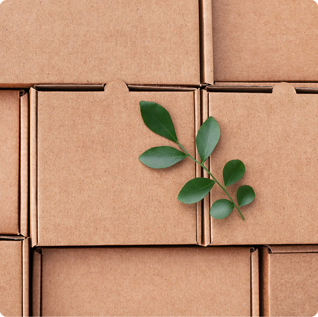 packaging with leaf